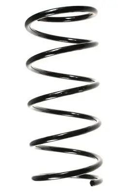 Fahrwerksfeder Vorderachse SPIDAN 55146