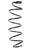 Fahrwerksfeder Vorderachse SPIDAN 55164