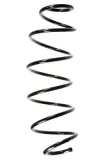 Fahrwerksfeder Vorderachse SPIDAN 55164