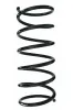 Fahrwerksfeder Vorderachse SPIDAN 55171