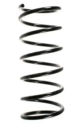 Fahrwerksfeder Vorderachse SPIDAN 55173