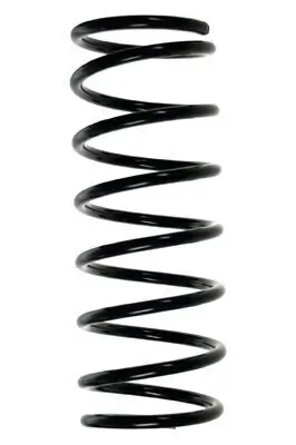 Fahrwerksfeder Hinterachse SPIDAN 55206