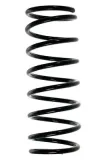 Fahrwerksfeder Hinterachse SPIDAN 55206