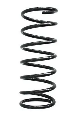 Fahrwerksfeder Hinterachse SPIDAN 55211