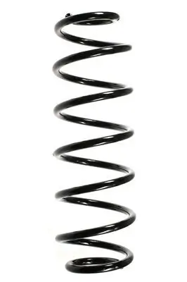 Fahrwerksfeder Hinterachse SPIDAN 55236