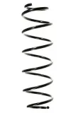 Fahrwerksfeder Vorderachse SPIDAN 55237
