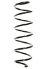 Fahrwerksfeder Vorderachse SPIDAN 55239