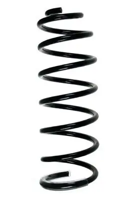 Fahrwerksfeder Hinterachse SPIDAN 55244