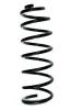 Fahrwerksfeder Hinterachse SPIDAN 55244