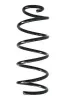 Fahrwerksfeder Hinterachse SPIDAN 55249