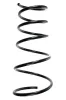 Fahrwerksfeder Vorderachse SPIDAN 55252