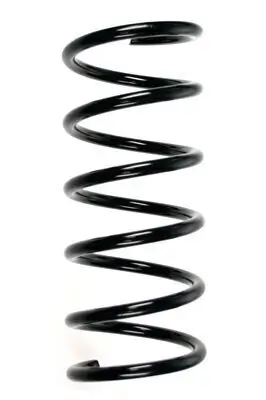 Fahrwerksfeder Hinterachse SPIDAN 55258