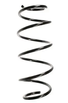 Fahrwerksfeder Vorderachse SPIDAN 55273