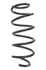 Fahrwerksfeder Vorderachse SPIDAN 55288