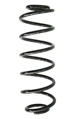 Fahrwerksfeder Hinterachse SPIDAN 55289