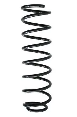 Fahrwerksfeder Hinterachse SPIDAN 55291