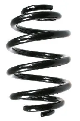 Fahrwerksfeder Hinterachse SPIDAN 55305