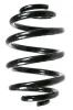 Fahrwerksfeder Hinterachse SPIDAN 55305