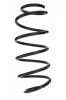Fahrwerksfeder Vorderachse SPIDAN 55309