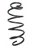 Fahrwerksfeder Vorderachse SPIDAN 55311
