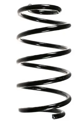 Fahrwerksfeder Vorderachse SPIDAN 55325 Bild Fahrwerksfeder Vorderachse SPIDAN 55325