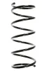 Fahrwerksfeder Vorderachse SPIDAN 55330