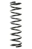 Fahrwerksfeder Hinterachse SPIDAN 55331
