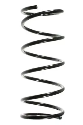 Fahrwerksfeder Vorderachse SPIDAN 55336