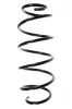Fahrwerksfeder Vorderachse SPIDAN 55340