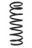 Fahrwerksfeder Hinterachse SPIDAN 55344