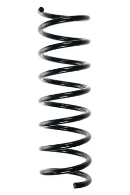 Fahrwerksfeder Hinterachse SPIDAN 55355