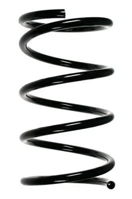 Fahrwerksfeder Vorderachse SPIDAN 55368