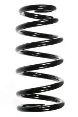 Fahrwerksfeder Hinterachse SPIDAN 55369