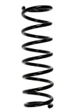 Fahrwerksfeder Hinterachse SPIDAN 55376