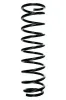 Fahrwerksfeder Hinterachse SPIDAN 55381