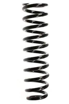 Fahrwerksfeder Vorderachse SPIDAN 55384