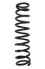 Fahrwerksfeder Hinterachse SPIDAN 55385