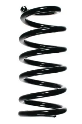 Fahrwerksfeder Hinterachse SPIDAN 55406