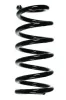 Fahrwerksfeder Hinterachse SPIDAN 55406