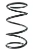 Fahrwerksfeder Vorderachse SPIDAN 55452