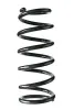 Fahrwerksfeder Hinterachse SPIDAN 55461