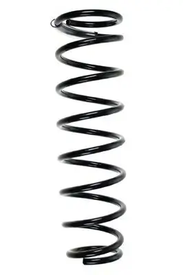 Fahrwerksfeder Hinterachse SPIDAN 55463