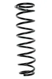 Fahrwerksfeder Hinterachse SPIDAN 55463