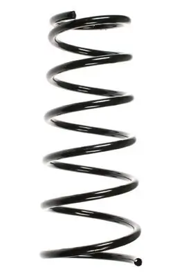 Fahrwerksfeder Hinterachse SPIDAN 55490