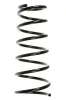 Fahrwerksfeder Hinterachse SPIDAN 55490