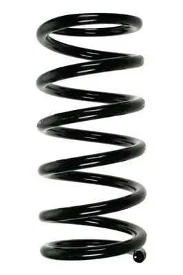 Fahrwerksfeder Hinterachse SPIDAN 55500