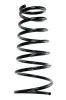 Fahrwerksfeder Hinterachse SPIDAN 55510