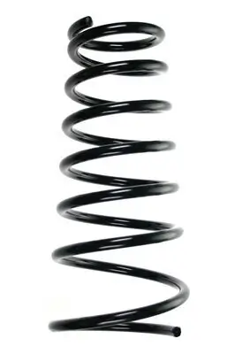 Fahrwerksfeder Hinterachse SPIDAN 55510 Bild Fahrwerksfeder Hinterachse SPIDAN 55510