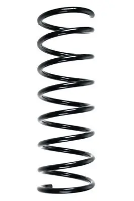 Fahrwerksfeder Hinterachse SPIDAN 55520 Bild Fahrwerksfeder Hinterachse SPIDAN 55520