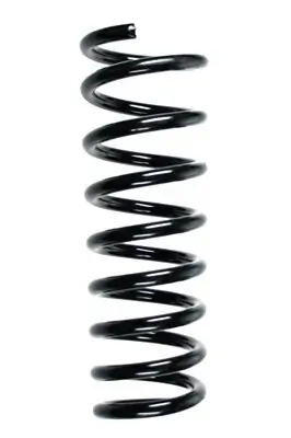 Fahrwerksfeder Hinterachse SPIDAN 55579 Bild Fahrwerksfeder Hinterachse SPIDAN 55579